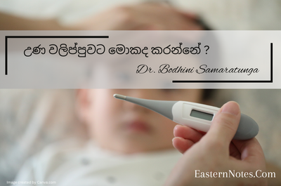 උණ වලිප්පුවට මොකද කරන්නේ ?