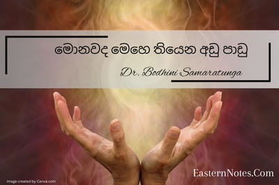 මොනවද මෙහෙ තියෙන අඩු පාඩු ?