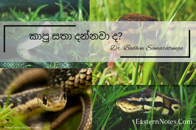 සර්පයෙක් දෂ්ඨ කළොත් මොනවද කරන්නේ ?