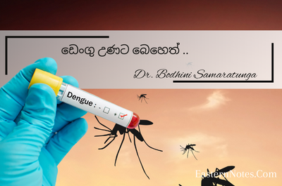 ඩෙංගු උණට බෙහෙත් ?